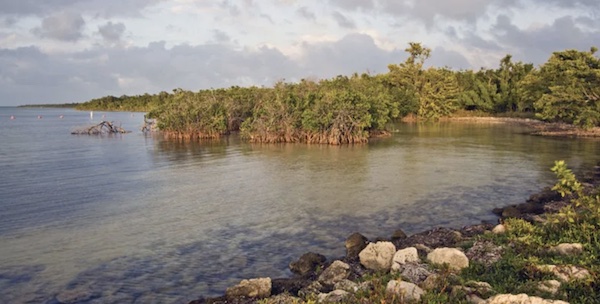 Biscayne national park