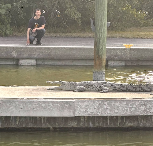 Flamingo city aux everglades - un crocodile