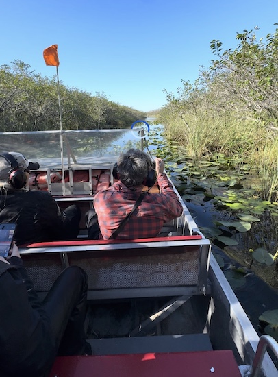 Everglades Shark Valley airboat