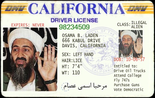 driving license osama ben laden